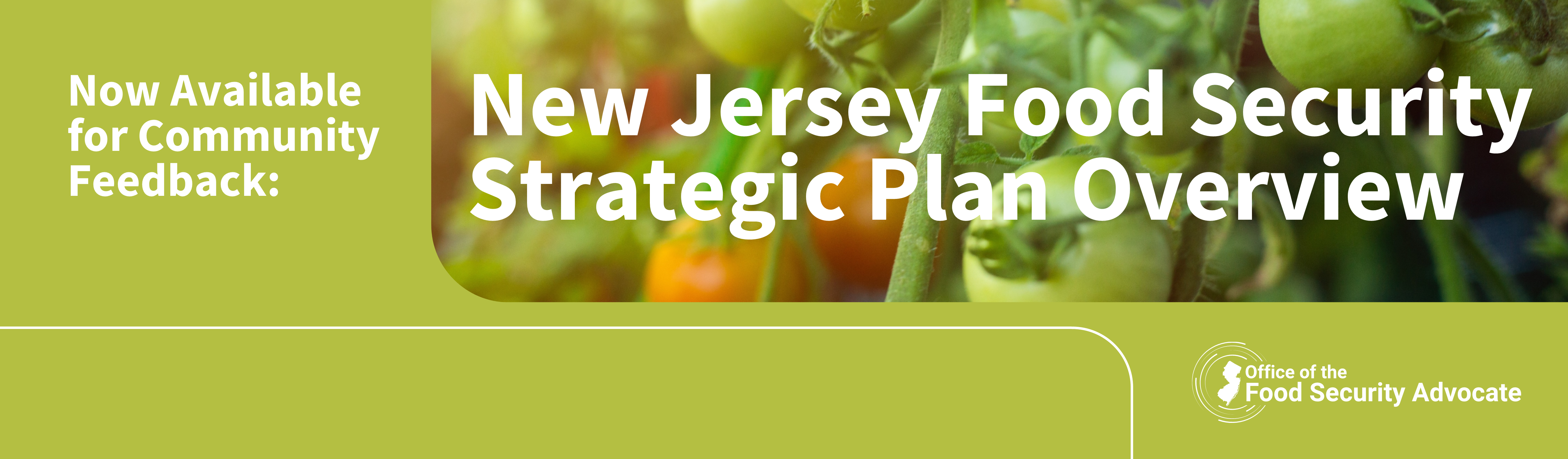 Strategic Plan Community Feedback